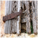 Dry Rotting Wood in Moston 8