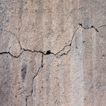 Dry Rotting Wood in New Mills 12