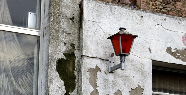 Treatment for Dry Rot in West End